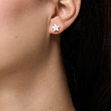 White Star Stud Earring - Yellow Gold